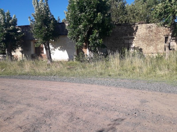 SE VENDE EN HENRY BELL 1HA CON CASA, DESPENSA Y SALON A REMODELAR!