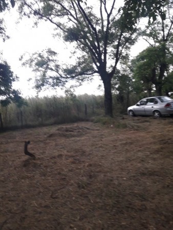 SE VENDE EN HENRY BELL 1HA CON CASA, DESPENSA Y SALON A REMODELAR!