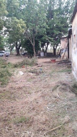 SE VENDE EN HENRY BELL 1HA CON CASA, DESPENSA Y SALON A REMODELAR!
