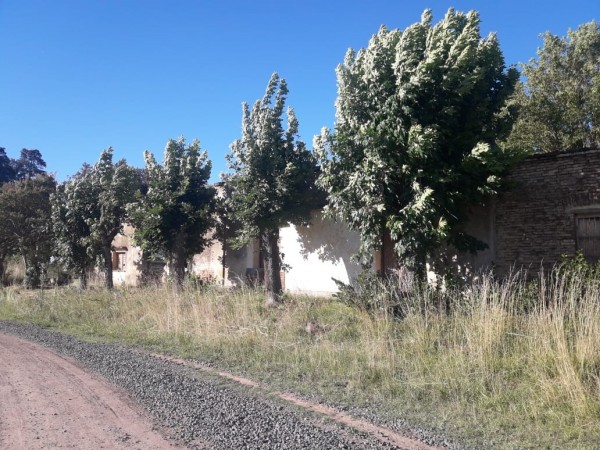 SE VENDE EN HENRY BELL 1HA CON CASA, DESPENSA Y SALON A REMODELAR!